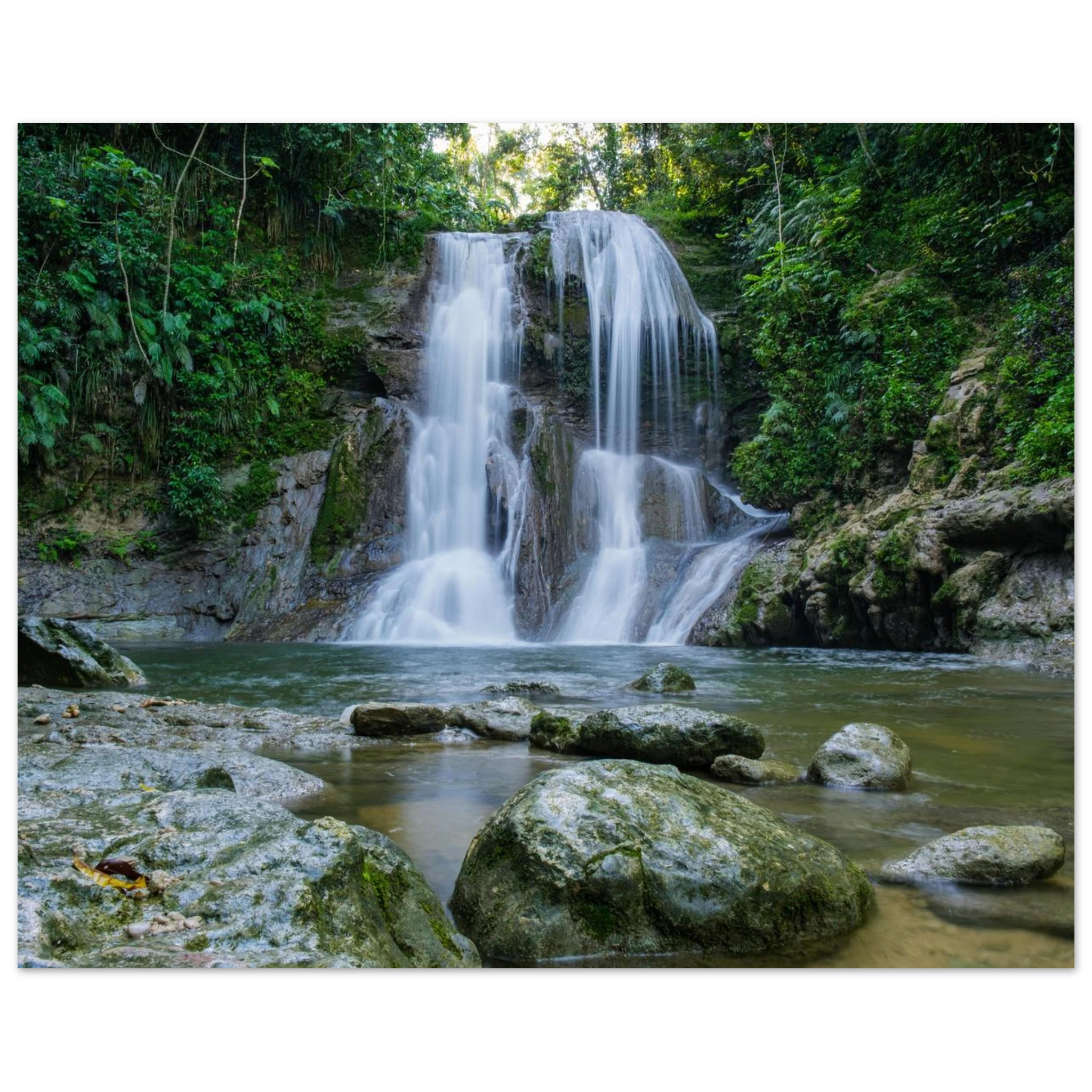 08e59cc1-864f-47a5-96eb-bcd78e60e1fd