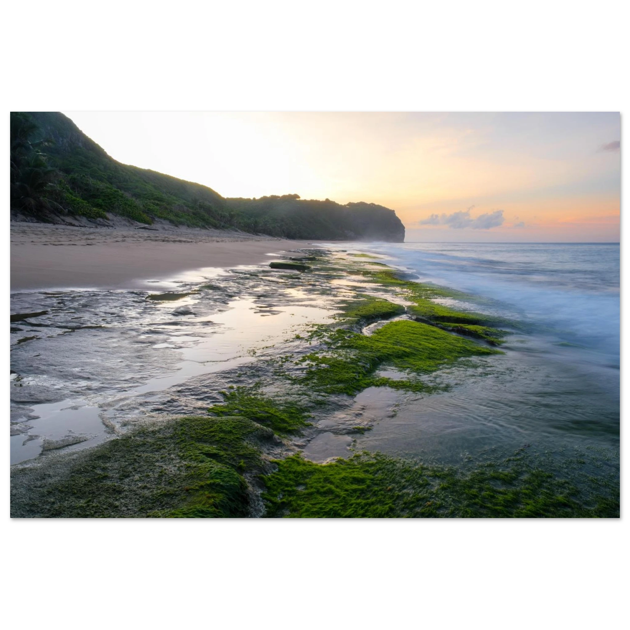 0d94328d-2eda-424a-880a-2ce5bbce1be1