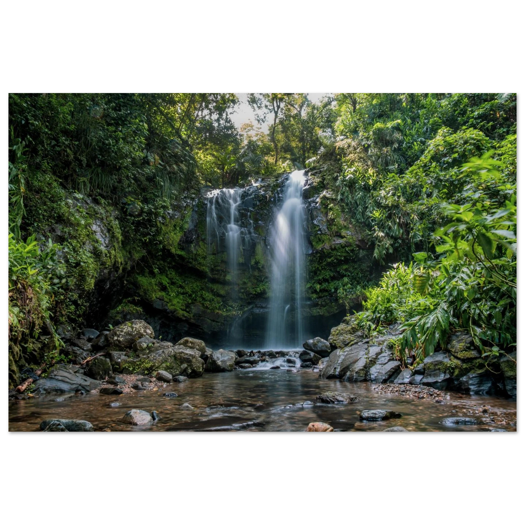 106aef98-49d0-4531-961b-7fab2c69cfb9