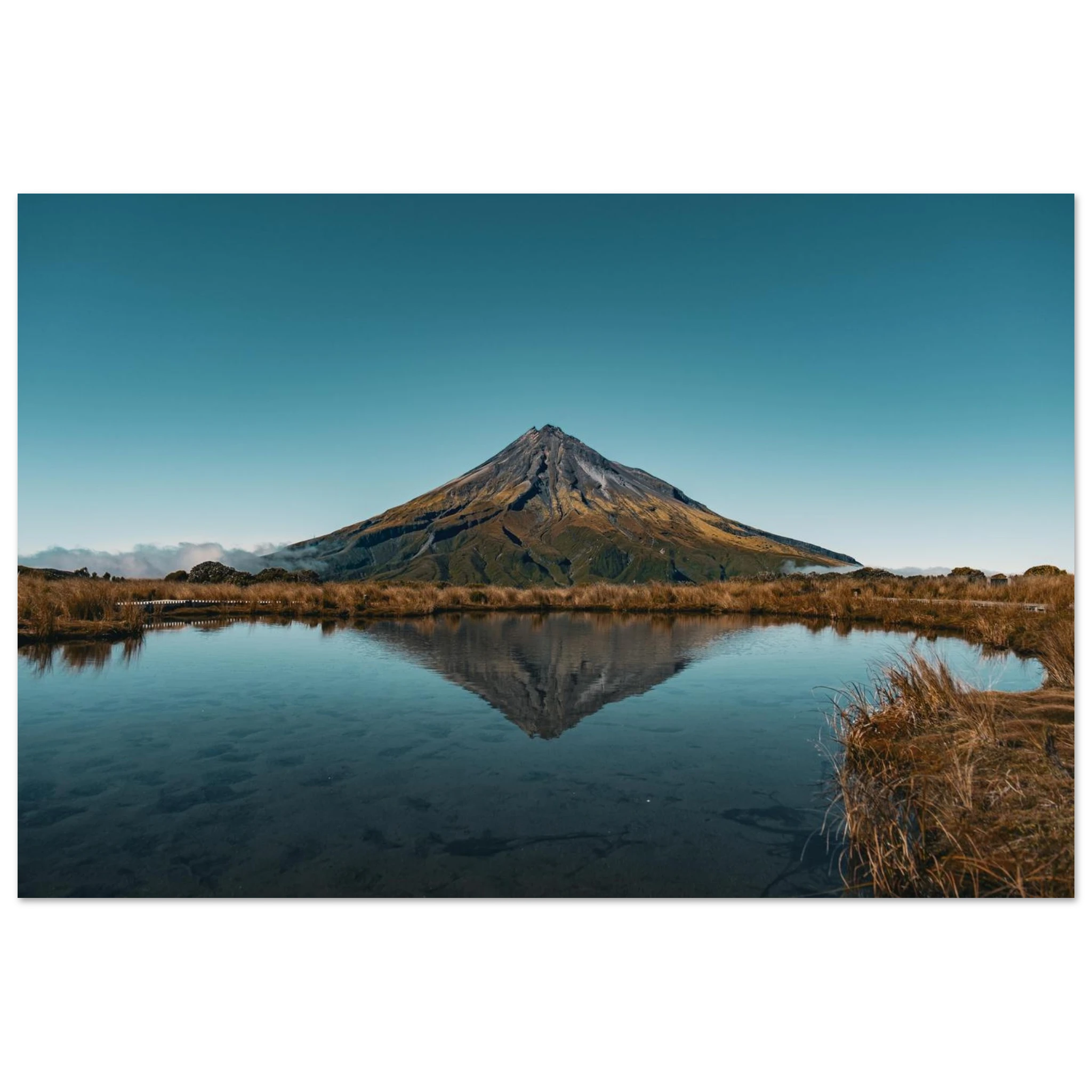 1f59c563-63ca-4a9d-b06d-8677e57cedfc