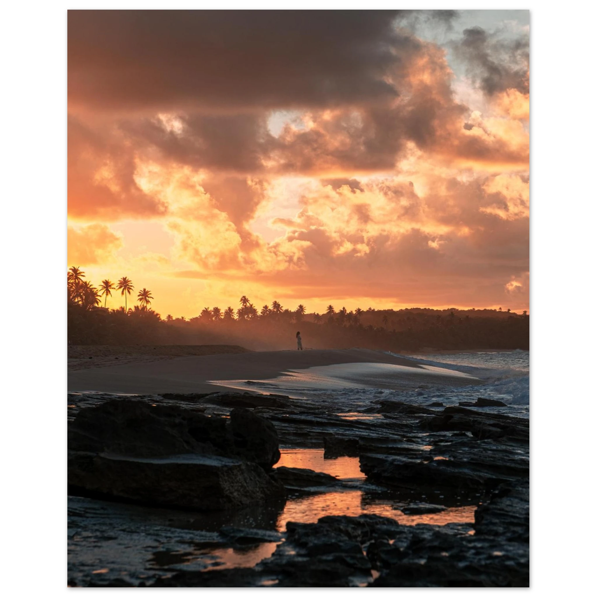 2ffc450e-7f6c-4169-ab83-739f858f2393