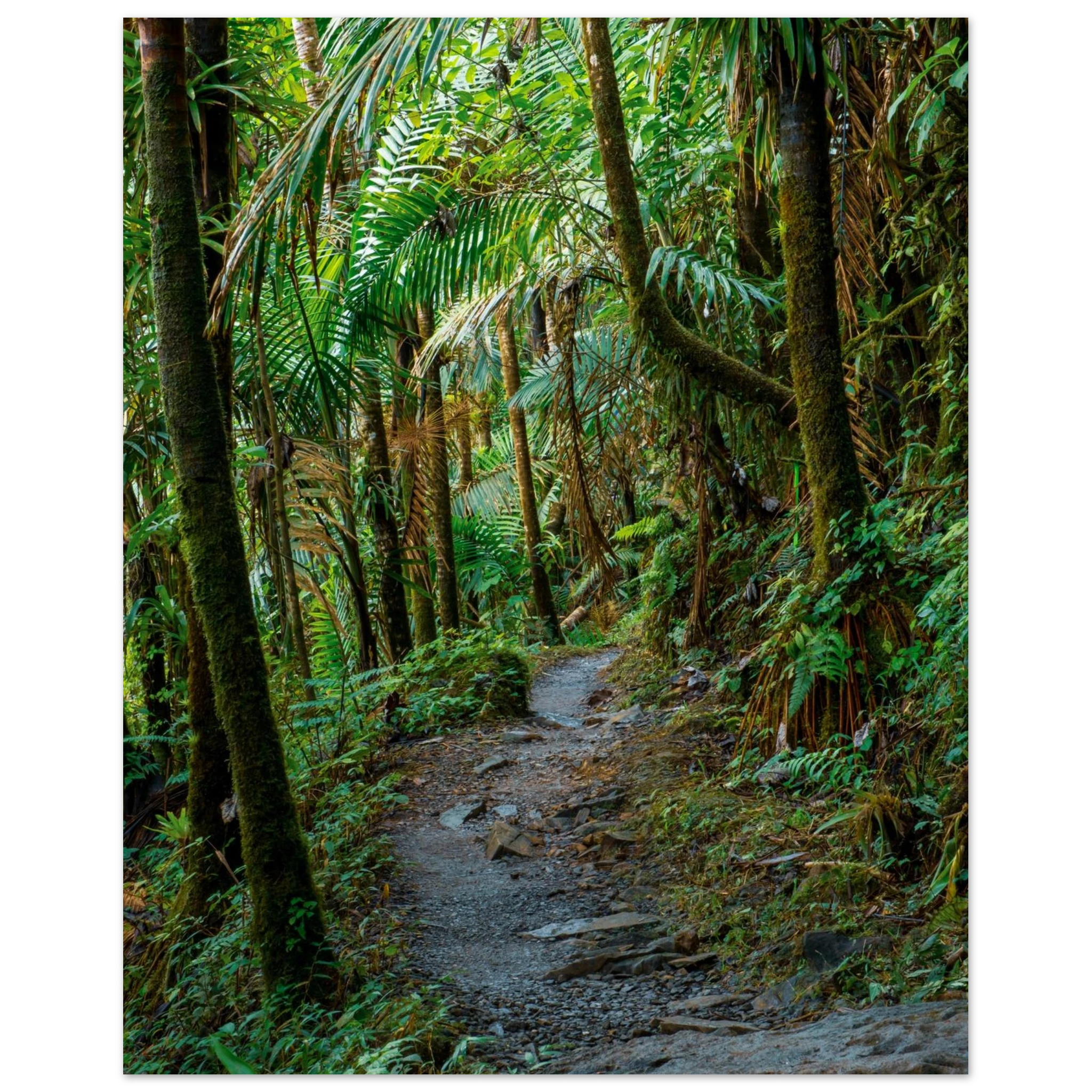 40a9c8a3-c5d3-4344-856a-ea591d63817f