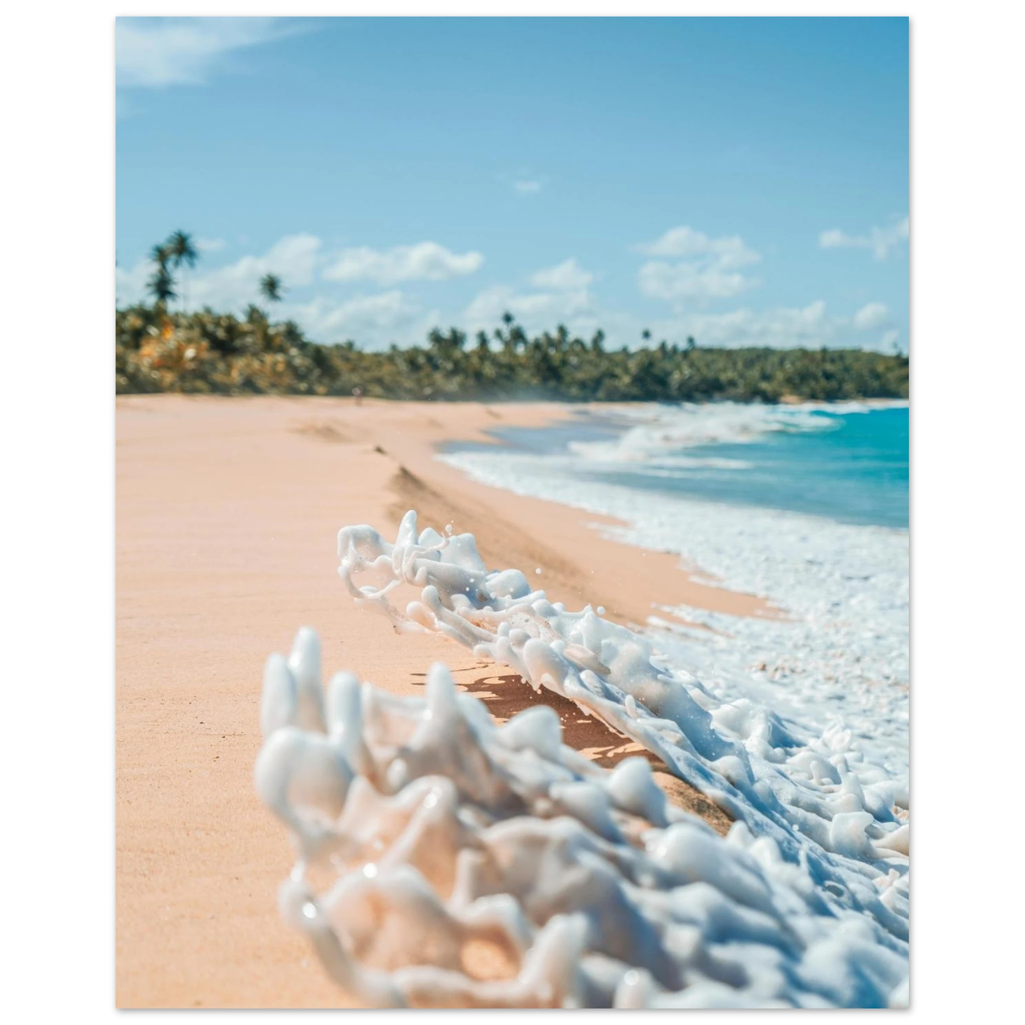 47b4085c-5e95-404e-a218-cd419befed63