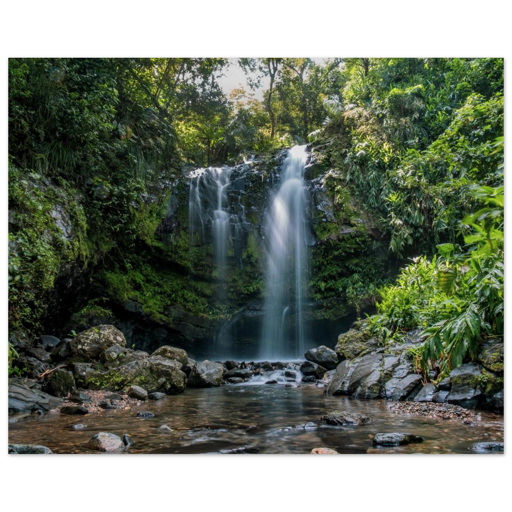 4b5c950f-a5f5-4ce1-8386-9da1309dc953