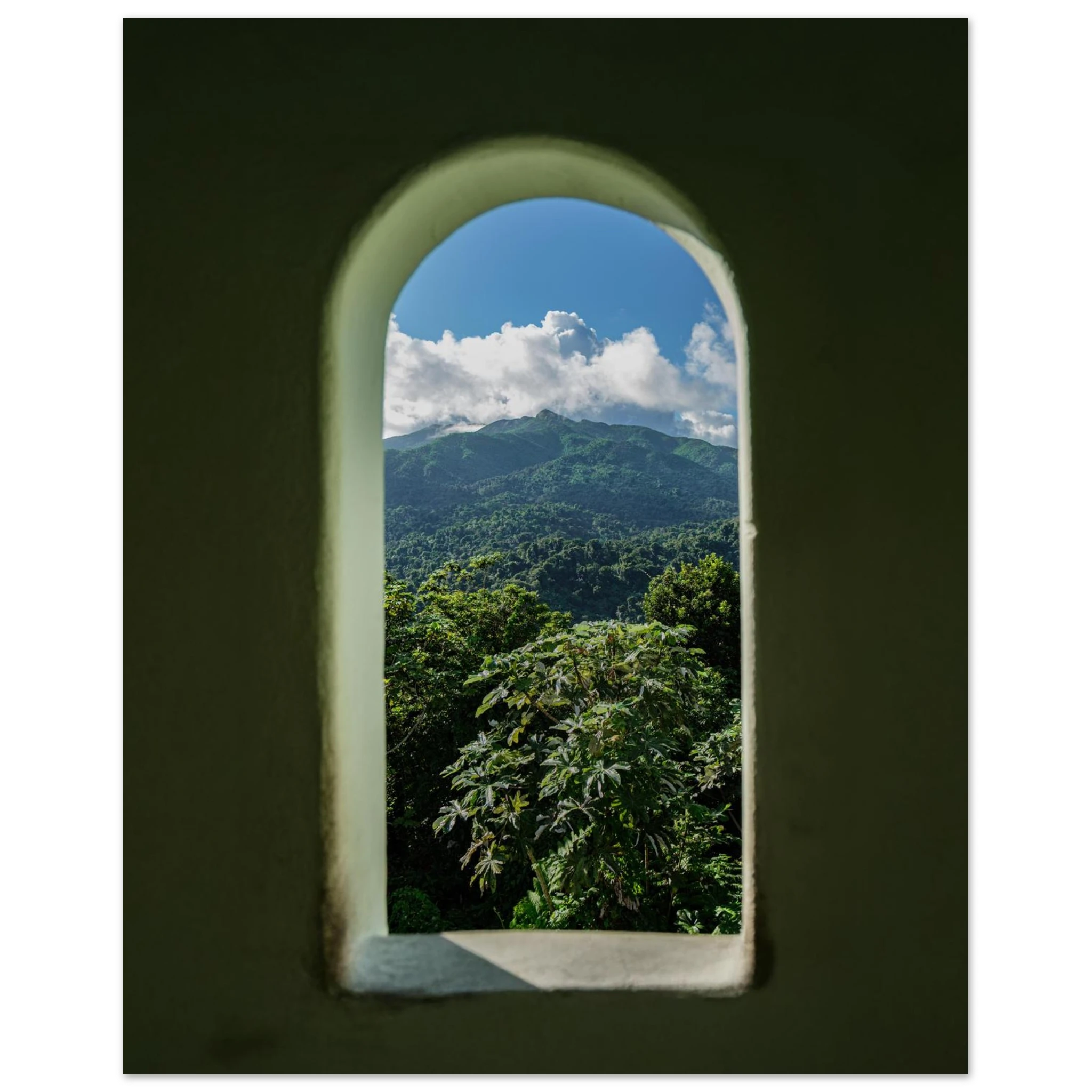 5f48e139-c709-4a42-af02-c6fd45524f0a