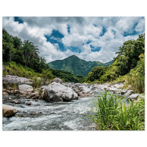 602365d4-b77f-4430-841a-fcd29201af02