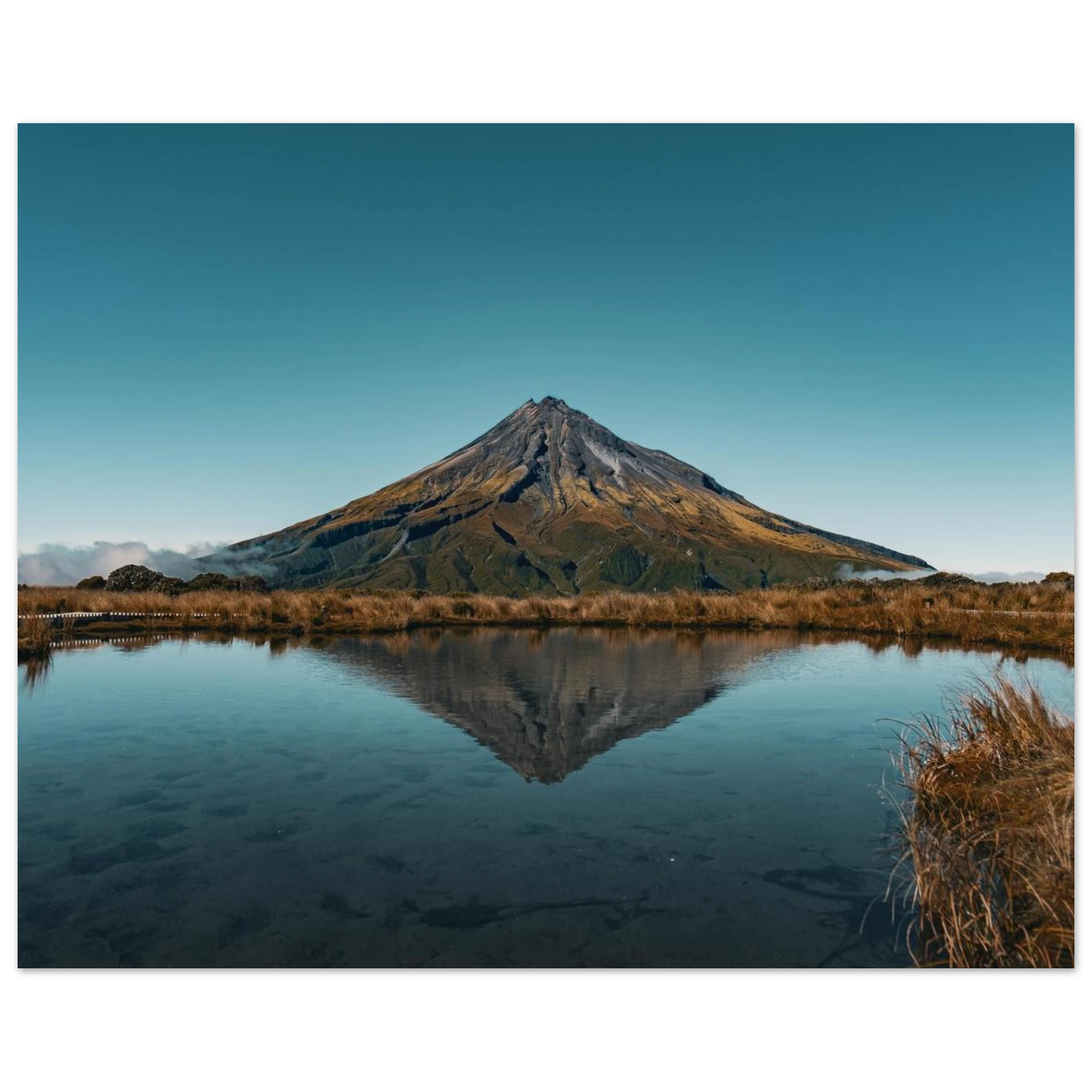 754976a6-2fee-43cb-9b03-b68b79c33891