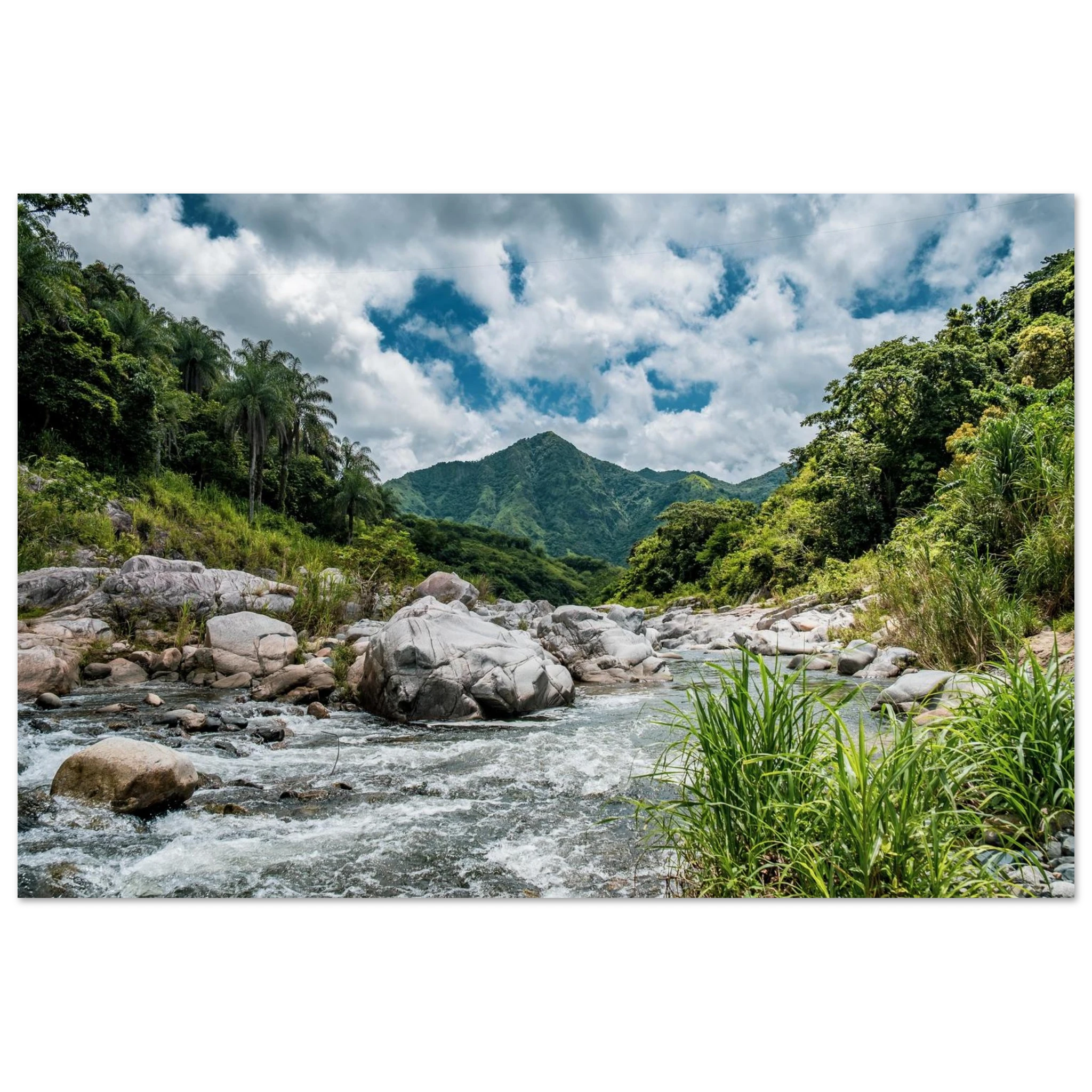 937d71aa-6705-4660-b618-c49947731e11