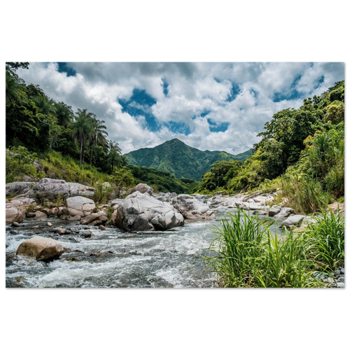 937d71aa-6705-4660-b618-c49947731e11