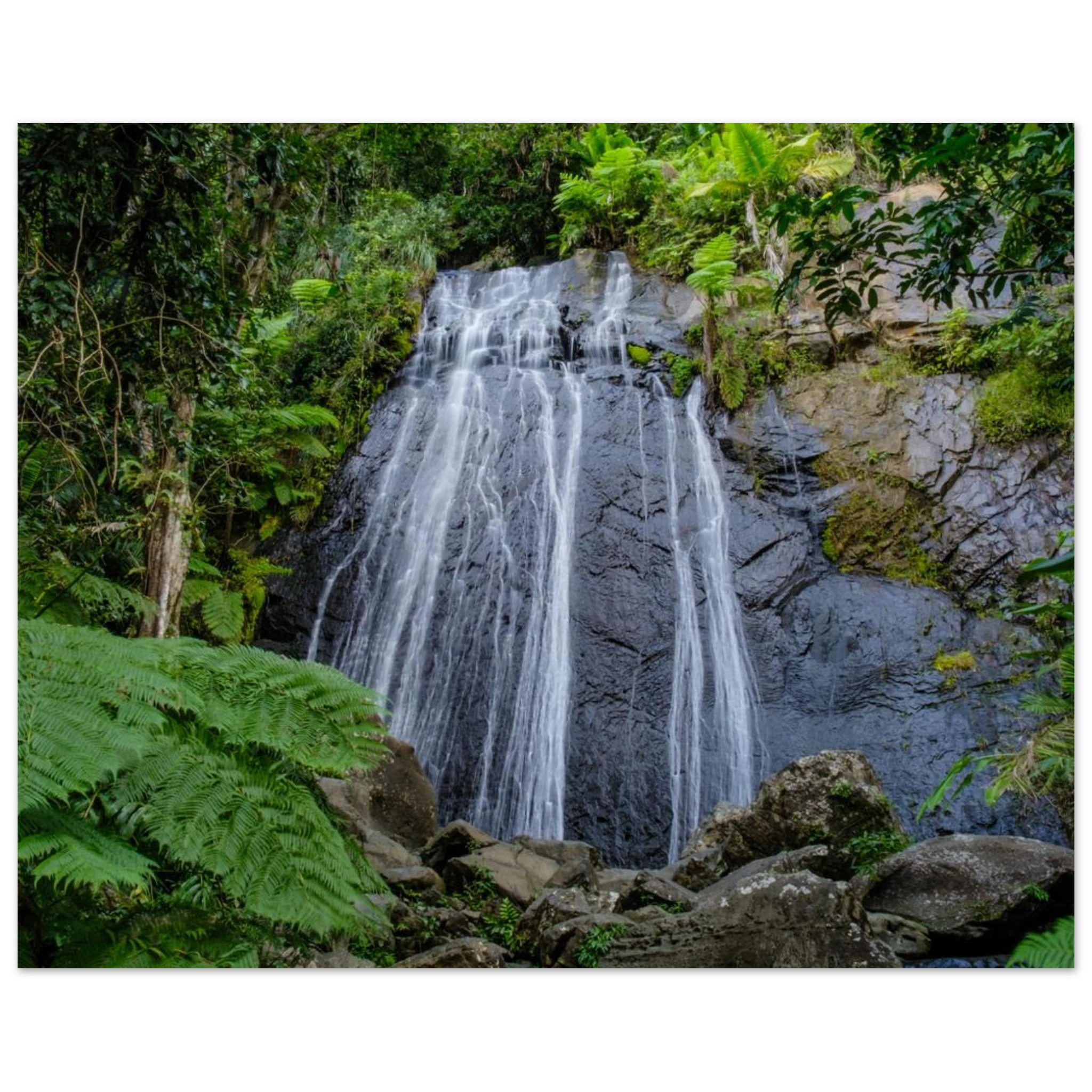 94fa76b9-0f48-4234-a32d-87901329a962