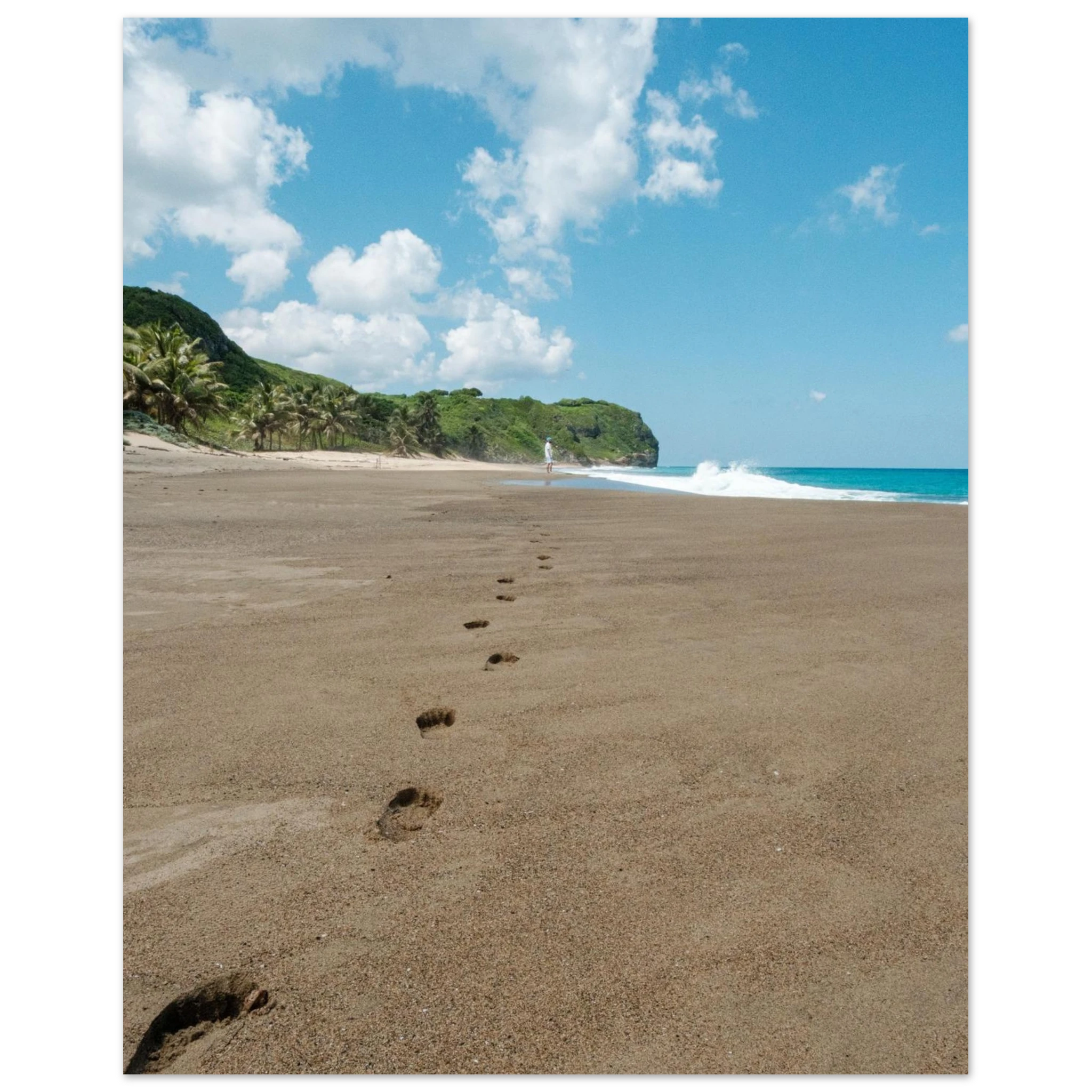 9e315c91-2ad4-4ca1-a6ef-ba9104417ace