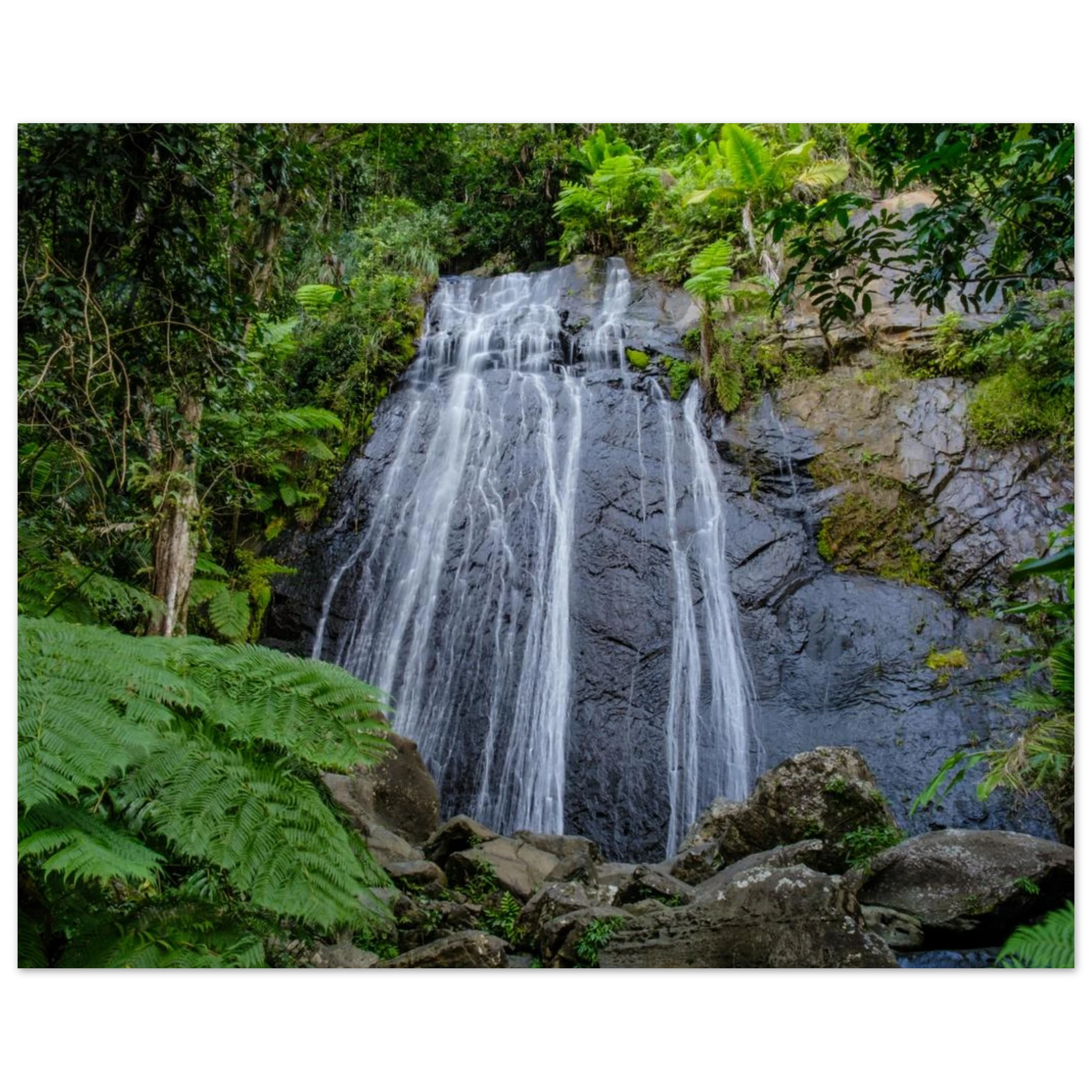 9ec3cf05-adf7-4bb8-970d-712020da9714