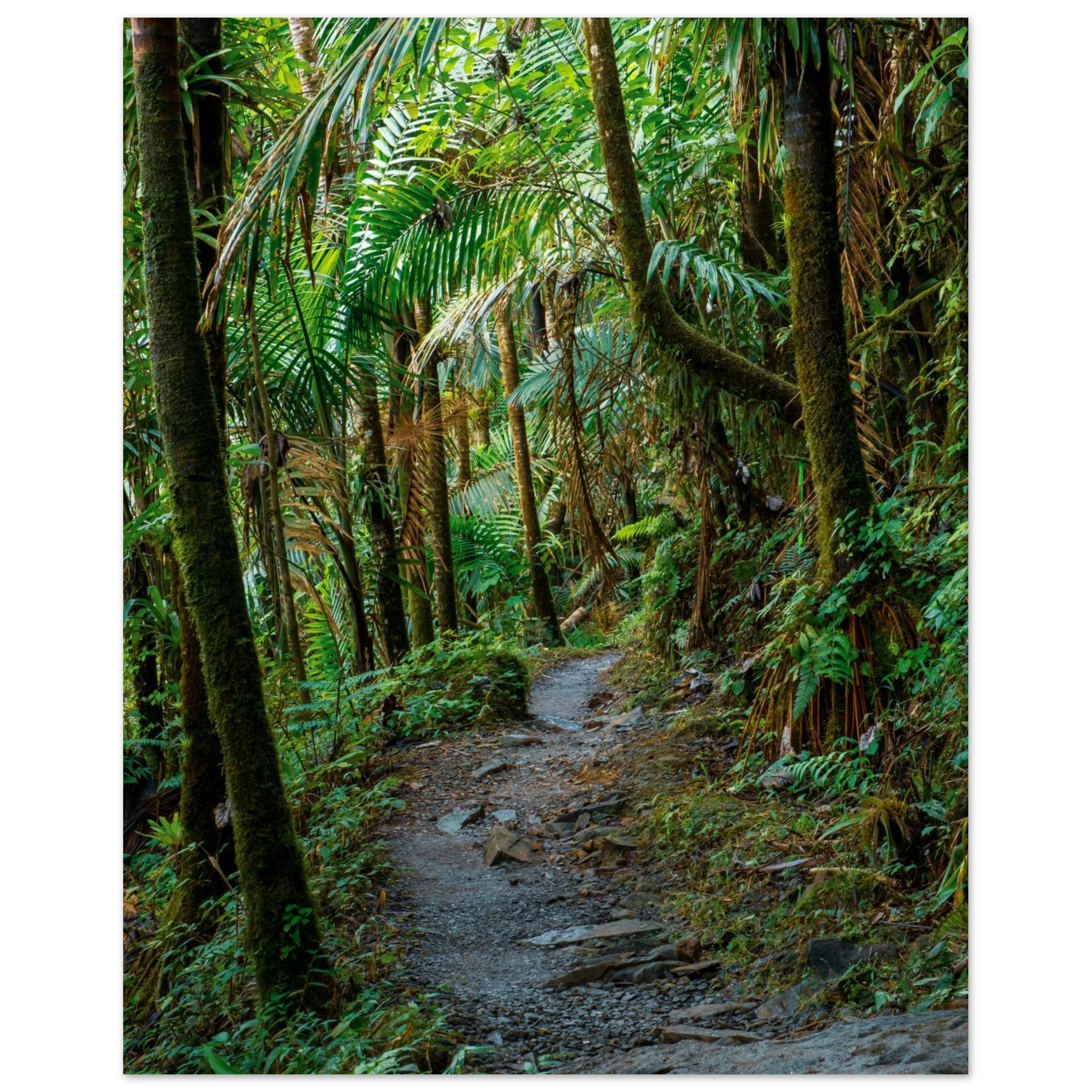 a32fa7cc-b5f7-401b-b0c4-5c6bd78eda95