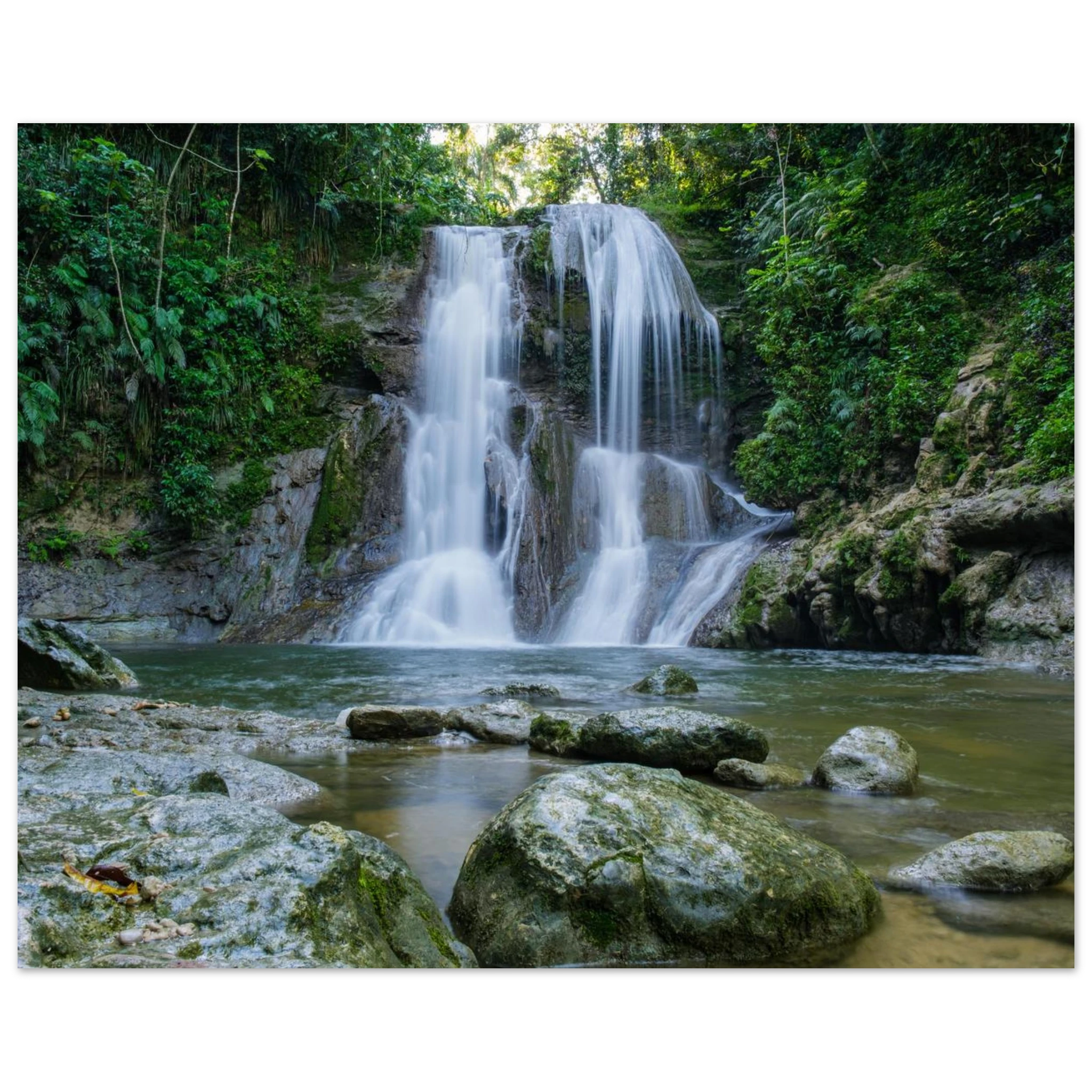 c21a39bd-b9a7-46ca-8140-5fe9b3923f8e