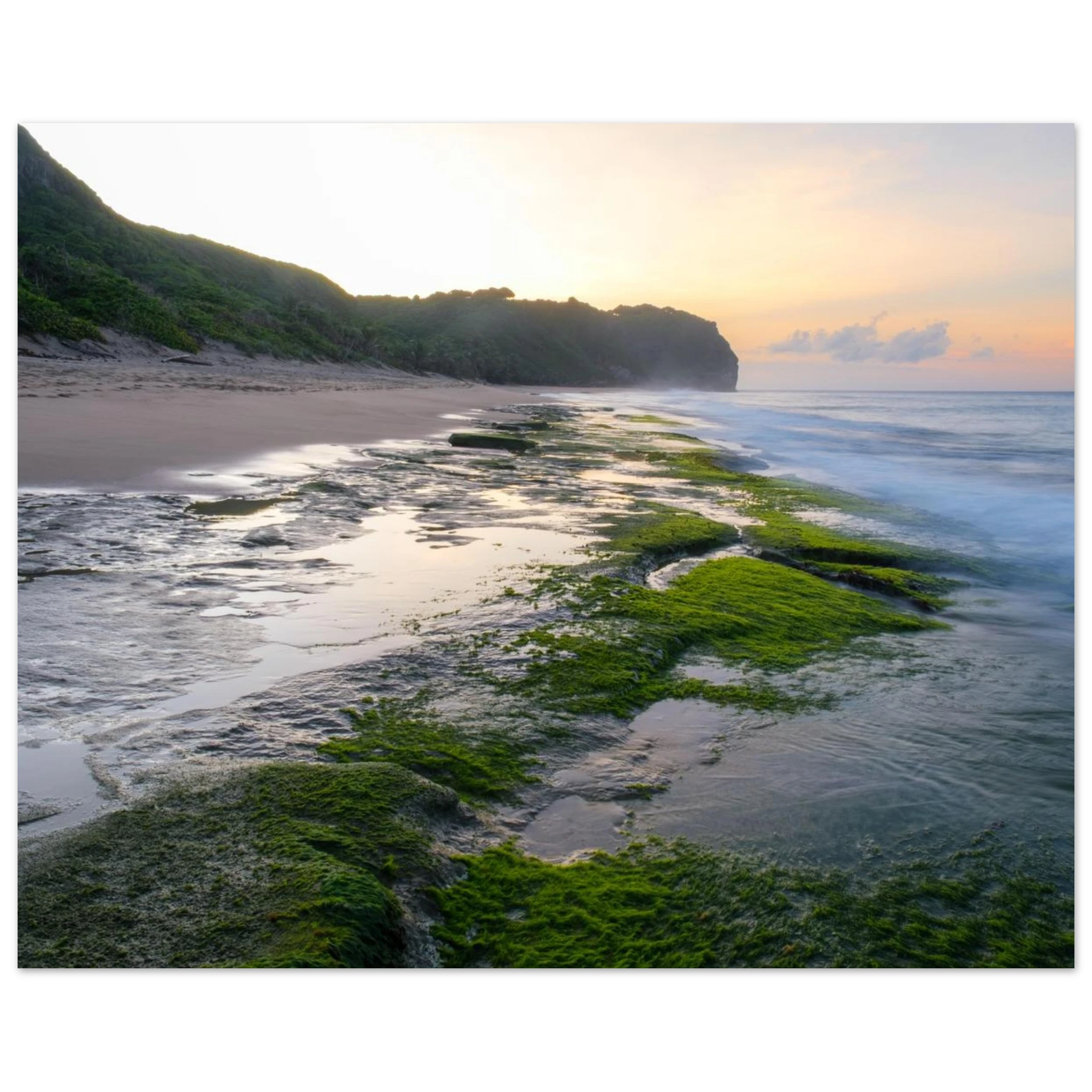 d01508a6-6651-4de5-950c-eb50f584a44b