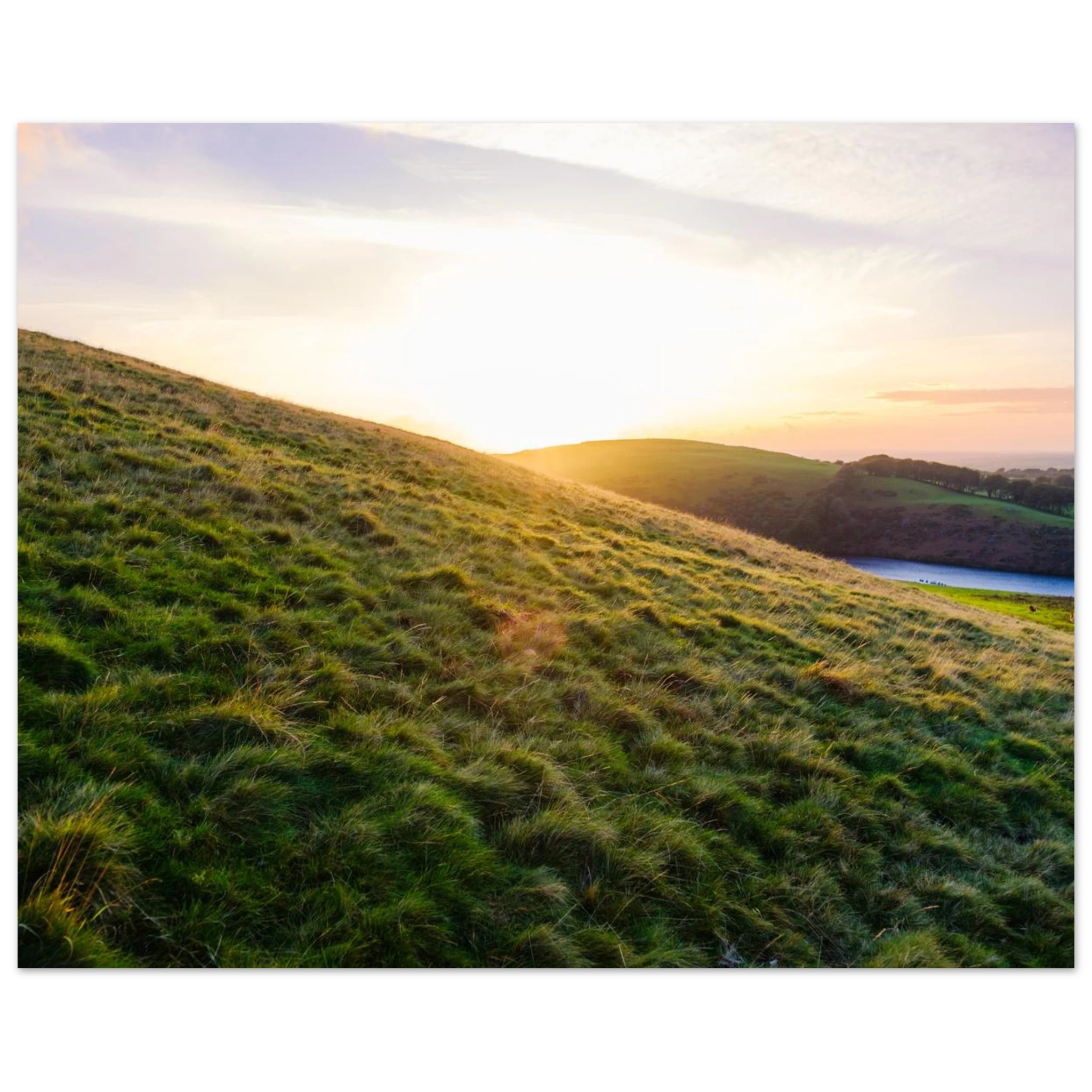 df37a40c-577d-4432-9671-d6cd851248f5