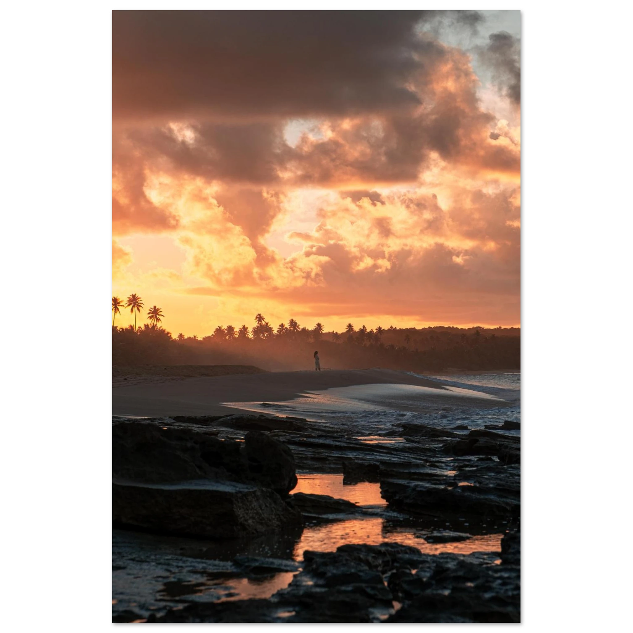 ef7ccf94-3b71-47a7-96e1-af4baab7cff2