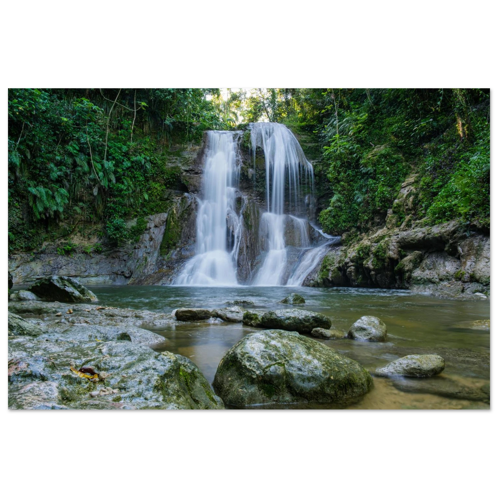 faf6a593-e8e1-4c6b-882c-45d234191c8b